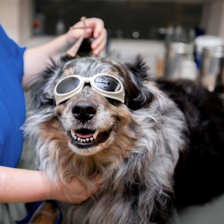 Cold Laser Therapy in O’Fallon